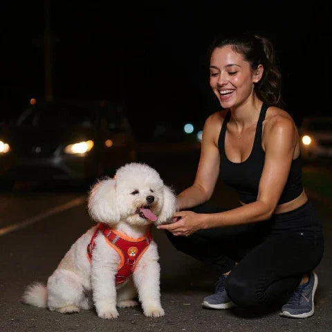 une proprietaire qui joue avec son chiot qui porte le harnais petit chien Gilet sans traction visible la nuit