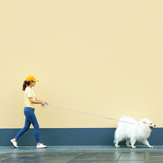 QUELLE LAISSE POUR CHIEN QUI TIRE ?
