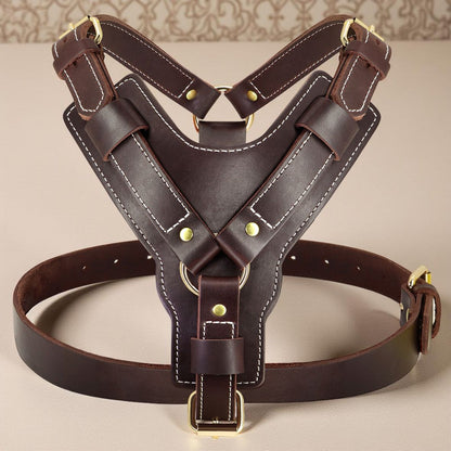 HARNAIS CHIEN EN CUIR | VÉRITABLE SFP