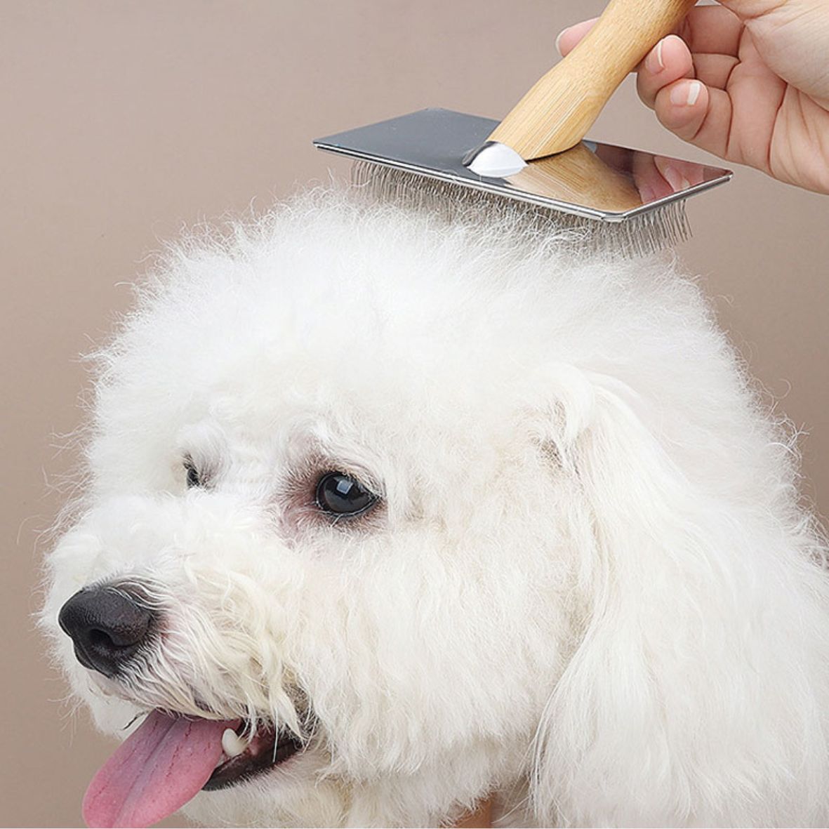 Brosse de toilettage pour chien massif - Peigne en acier inoxydable