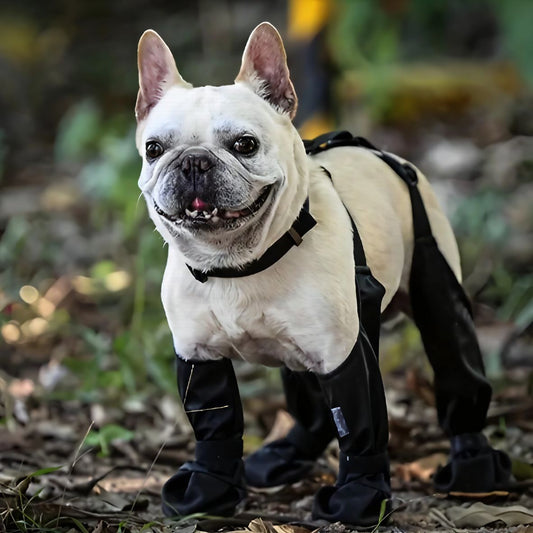 Bottes pour chien | Imperméable à bretelles