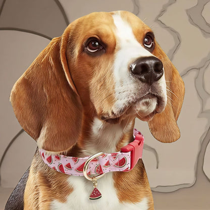 COLLIER CHIEN AVEC PENDENTIF DE FRUITS