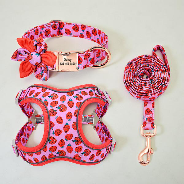 Harnais | Design Watermelon