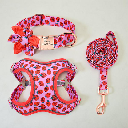 Harnais | Design Watermelon