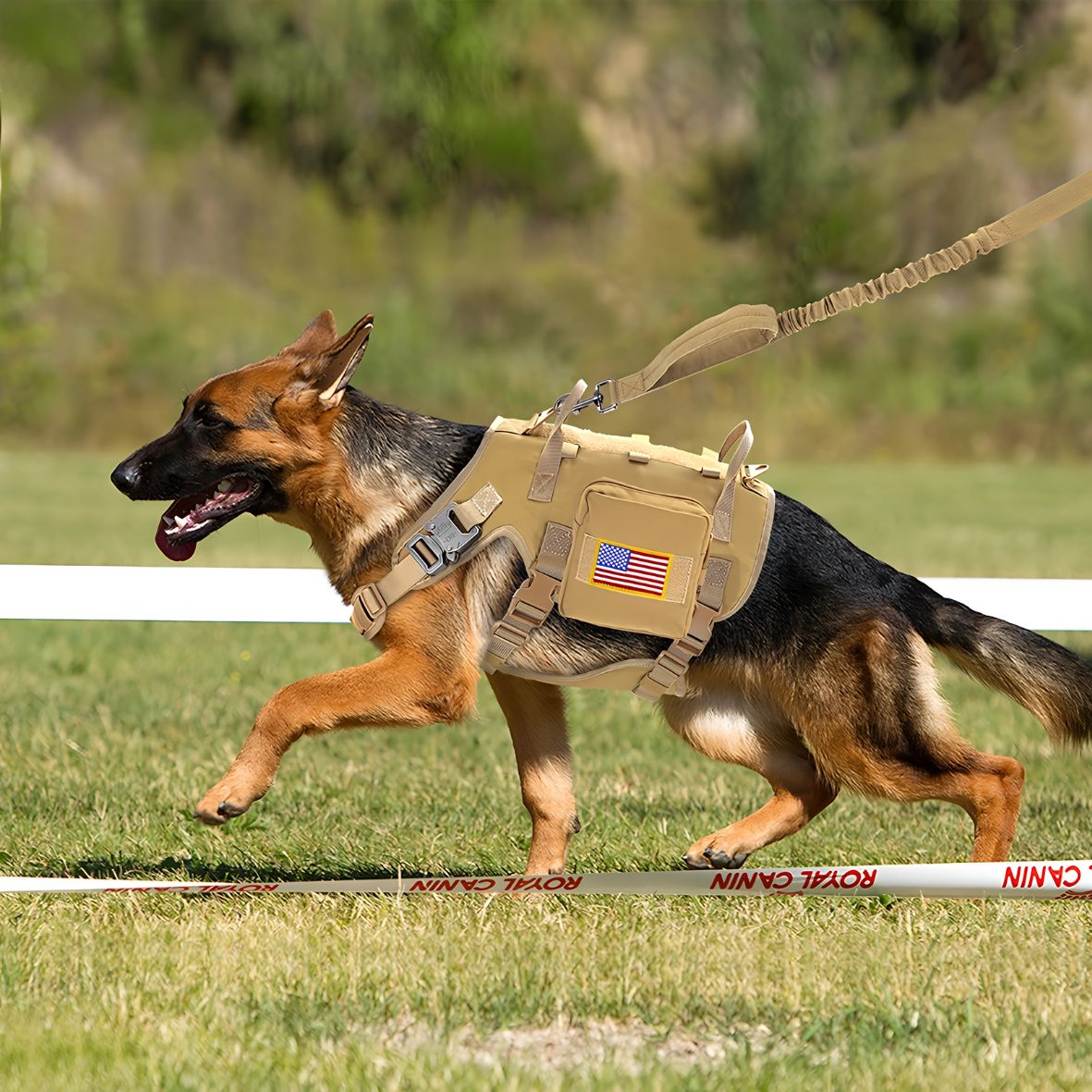 HARNAIS CHIEN TACTIQUE | K9™