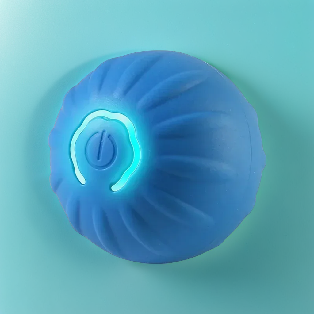 BALLE POUR CHIEN - BOULE INTERACTIVE