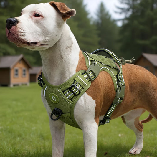 HARNAIS MILITAIRE CHIEN | GILET MOLLE