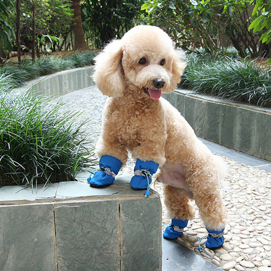 Chaussures chien | Bottes imperméables