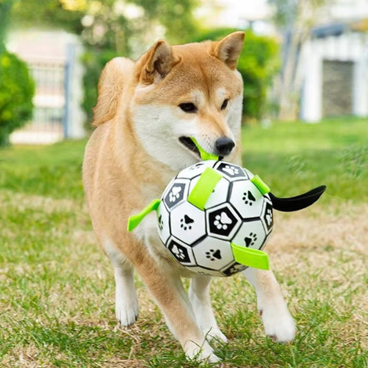 Balle pour chien de foot - PawKick