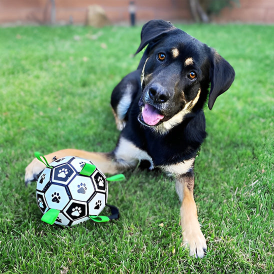 Balle pour chien de foot - PawKick