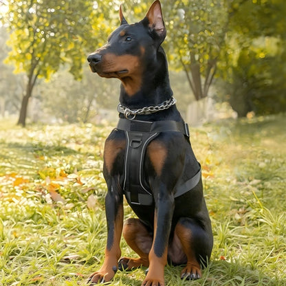 HARNAIS POUR CHIEN MILITAIRE | TACTIQUE