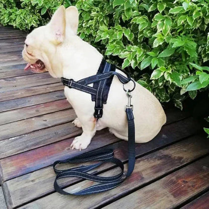 Bulldog qui porte le harnais chien anti traction noir a adjustment poitrine essentiel