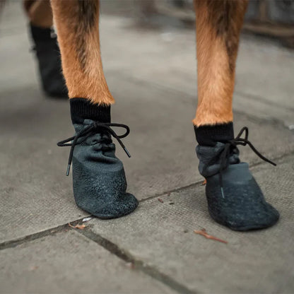 Chausson pour chien gris en coton