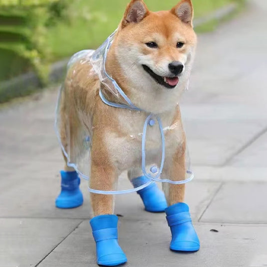 Chaussure pour chien | Bottine en caoutchouc