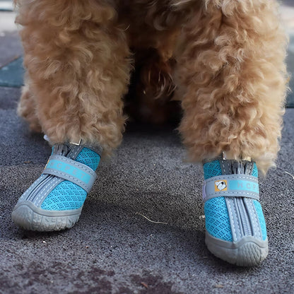 Chaussures pour chien | Escalade chaussons