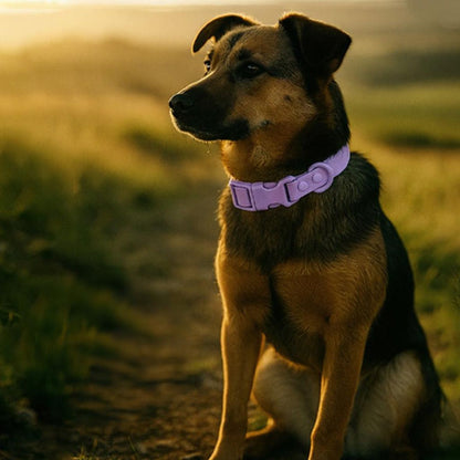 COLLIER CHIEN | PVC EN MACARON