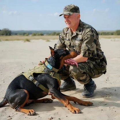 Doberman qui porte le harnais pour chien militaire Tacticontrol vert avec un soldat qui le touche