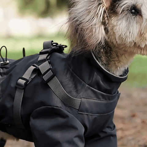 MANTEAU CHIEN | IMPERMEAWARM™