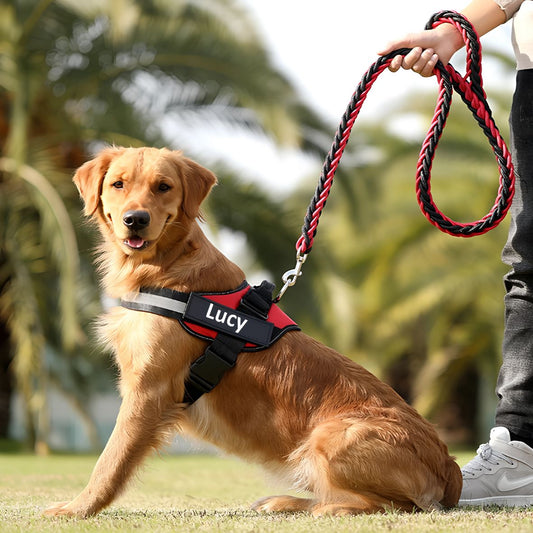 HARNAIS CHIEN DE SERVICE | SERVIDOG