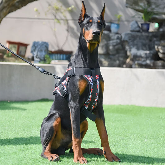 Harnais anti traction pour chien Servidog durable