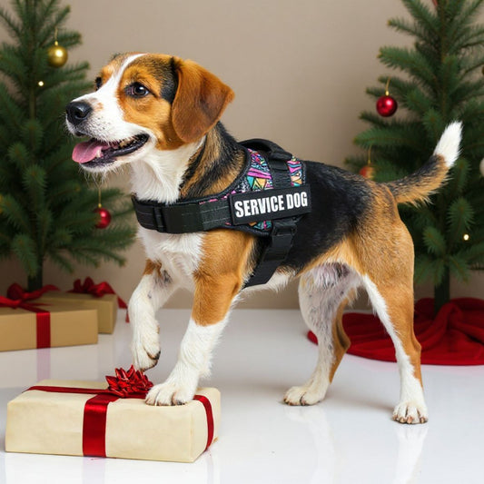 Harnais pour chien de service | Servidog™