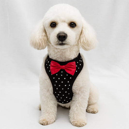 Harnais pour petit chien | Gilet avec petit diamants