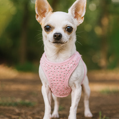 Harnais pour petit chien | Gilet avec petit diamants