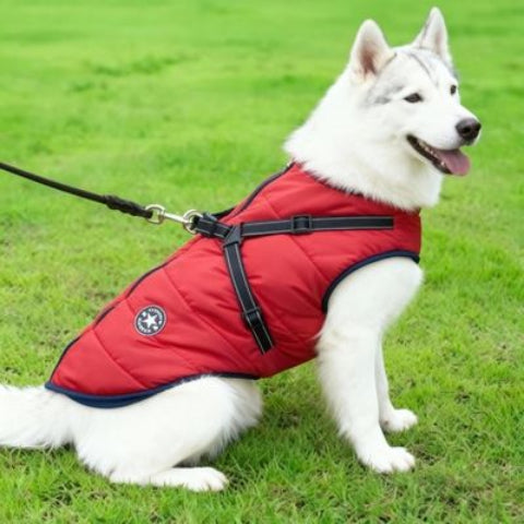 husky qui porte le harnais chien manteau d hiver rouge tres robuste