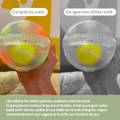 Jouet pour chien | Durable Interactif