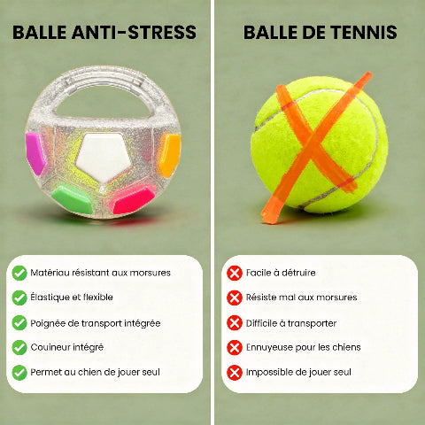 Jouet pour chien | Durable Interactif