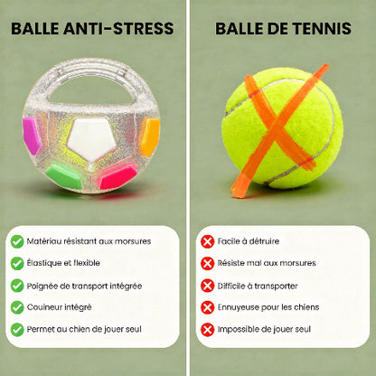 Jouet pour chien | Durable Interactif