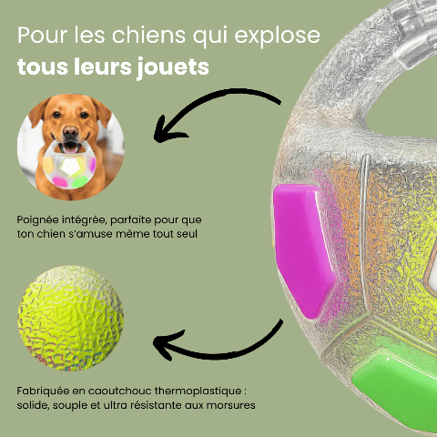 Jouet pour chien | Durable Interactif