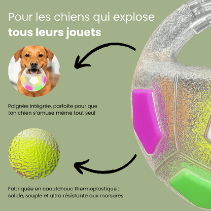 Jouet pour chien | Durable Interactif