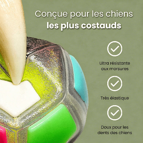 Jouet pour chien | Durable Interactif