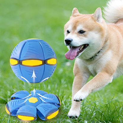 JOUET CHIEN BALLE SOUCOUPE - OVNI