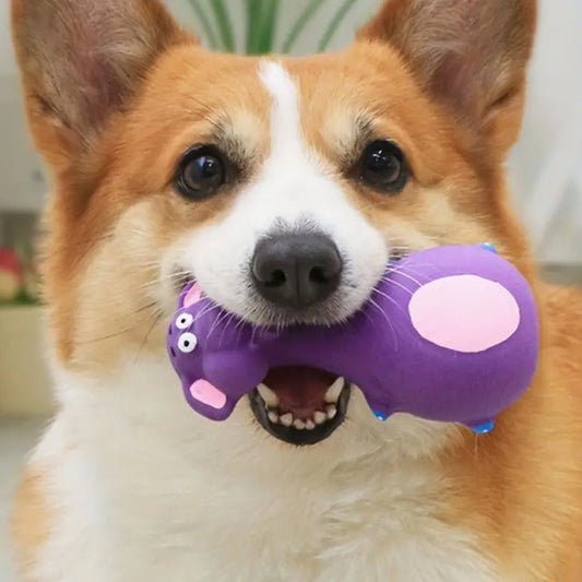 Jouets pour chien en latex - Vache - Éléphant - couinante