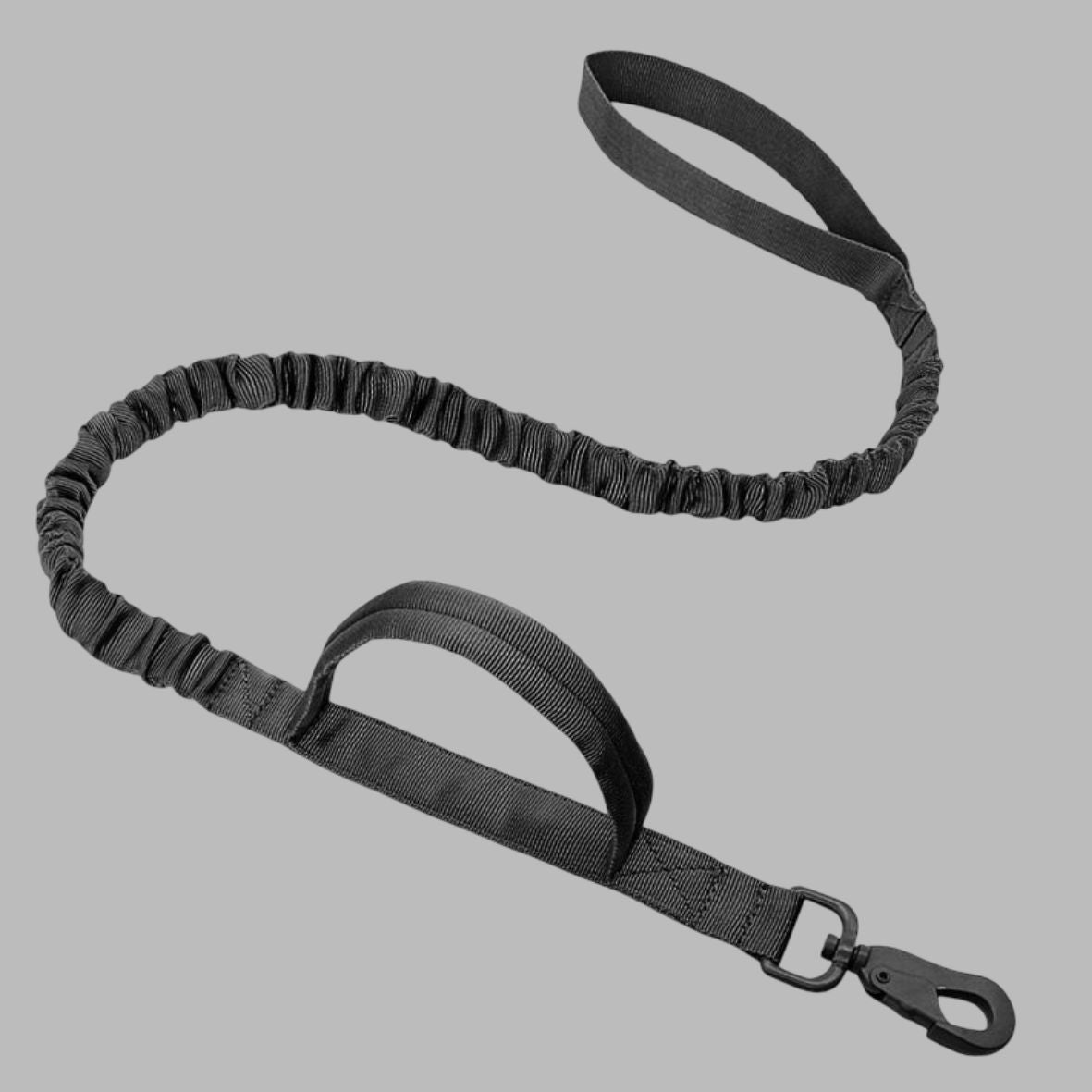 Laisse de chien | Tactique