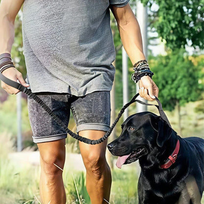 Laisse de chien | Tactique
