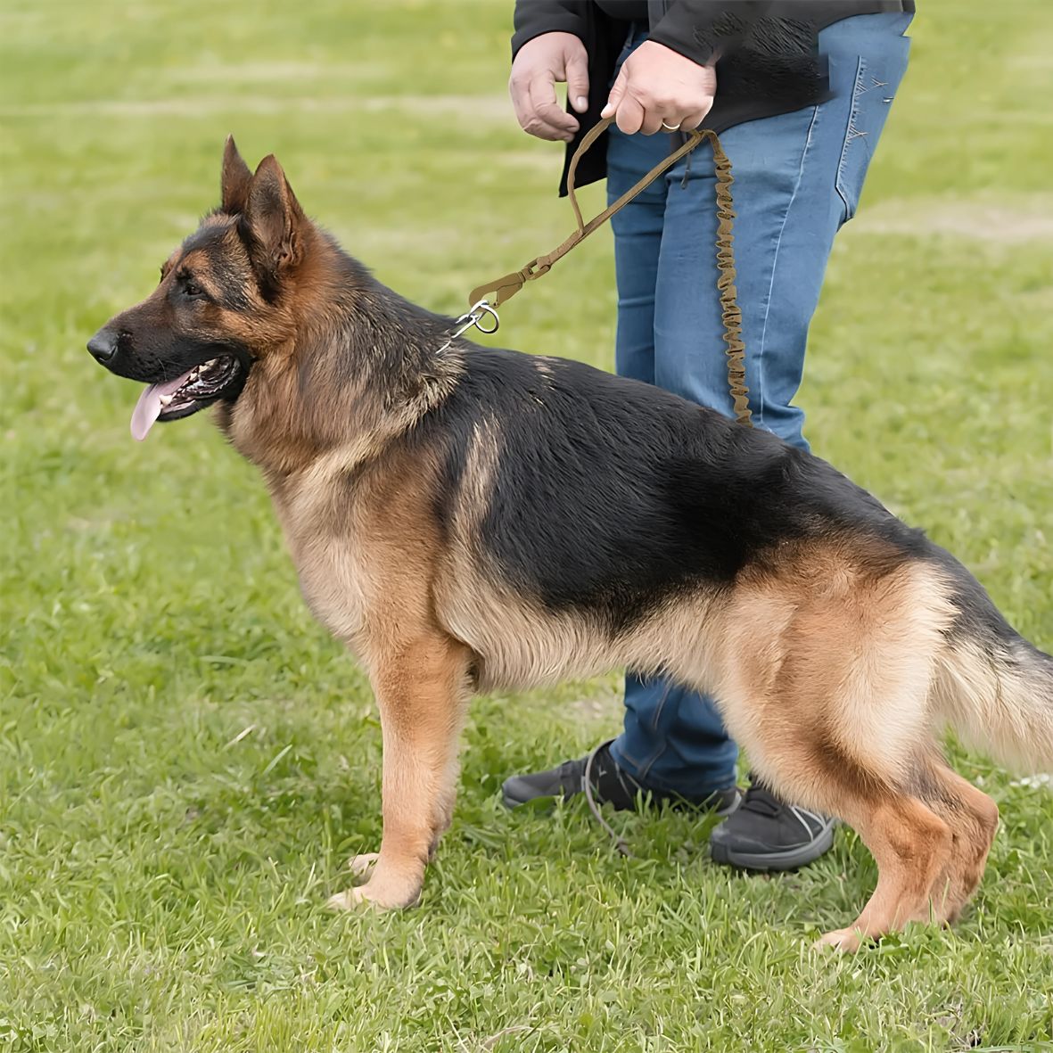 Laisse de chien | Tactique