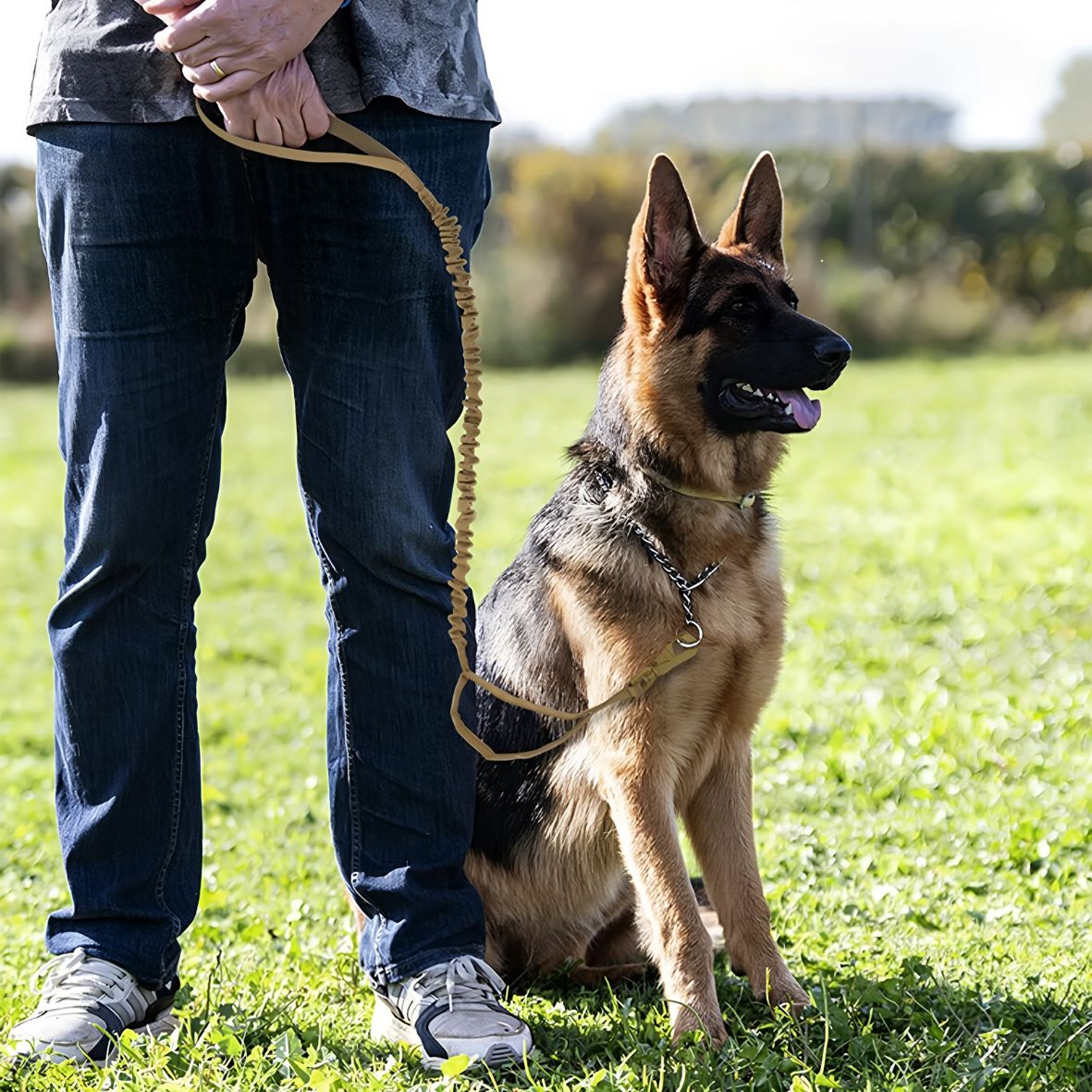 Laisse de chien | Tactique