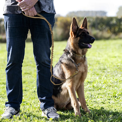 Laisse de chien | Tactique