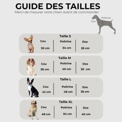 Manteau chien Winter confort Guide des tailles