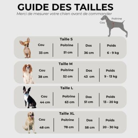 Manteau d hiver chien Guide des tailles