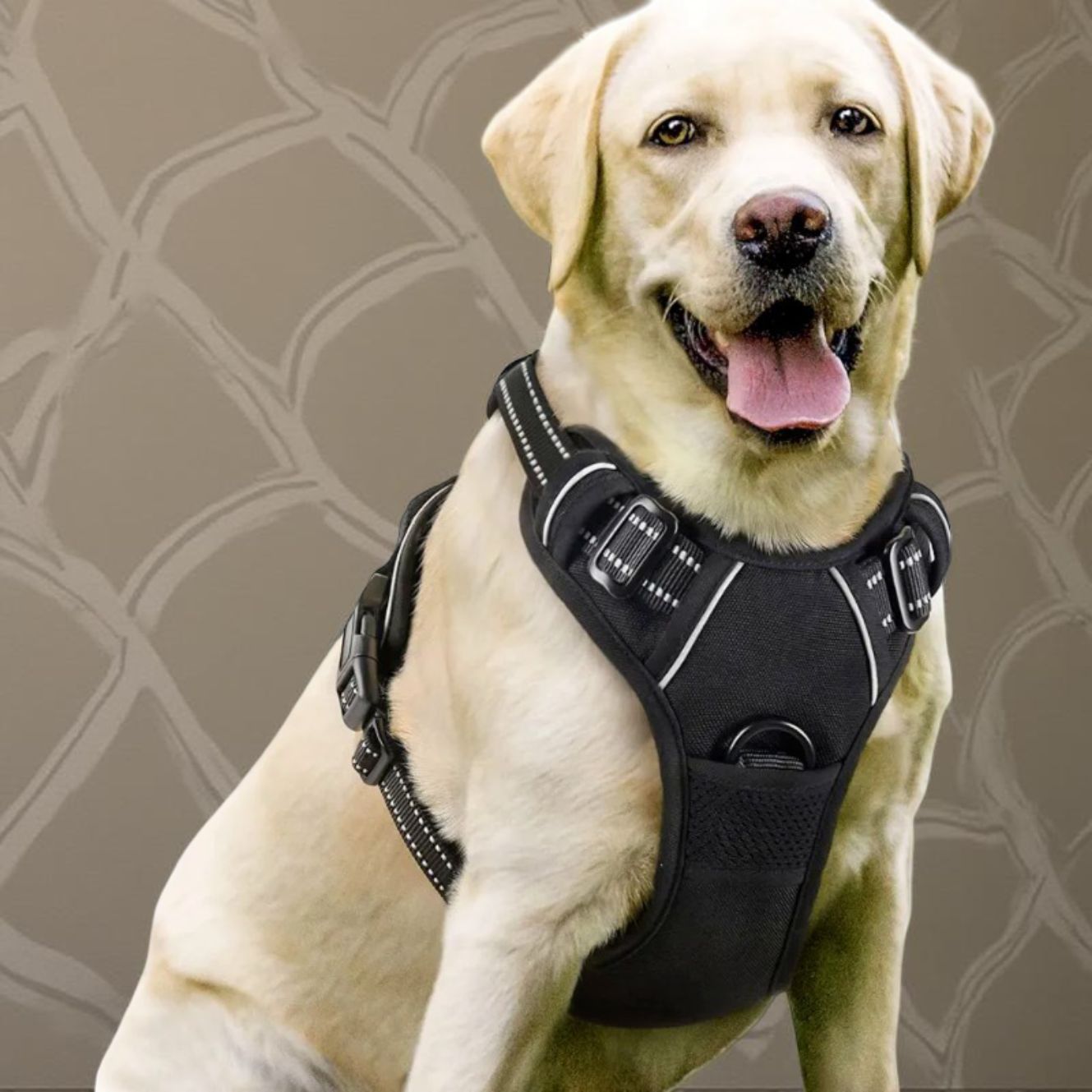 HARNAIS CHIEN ANTI TRACTION | VESTE RÉGLABLE