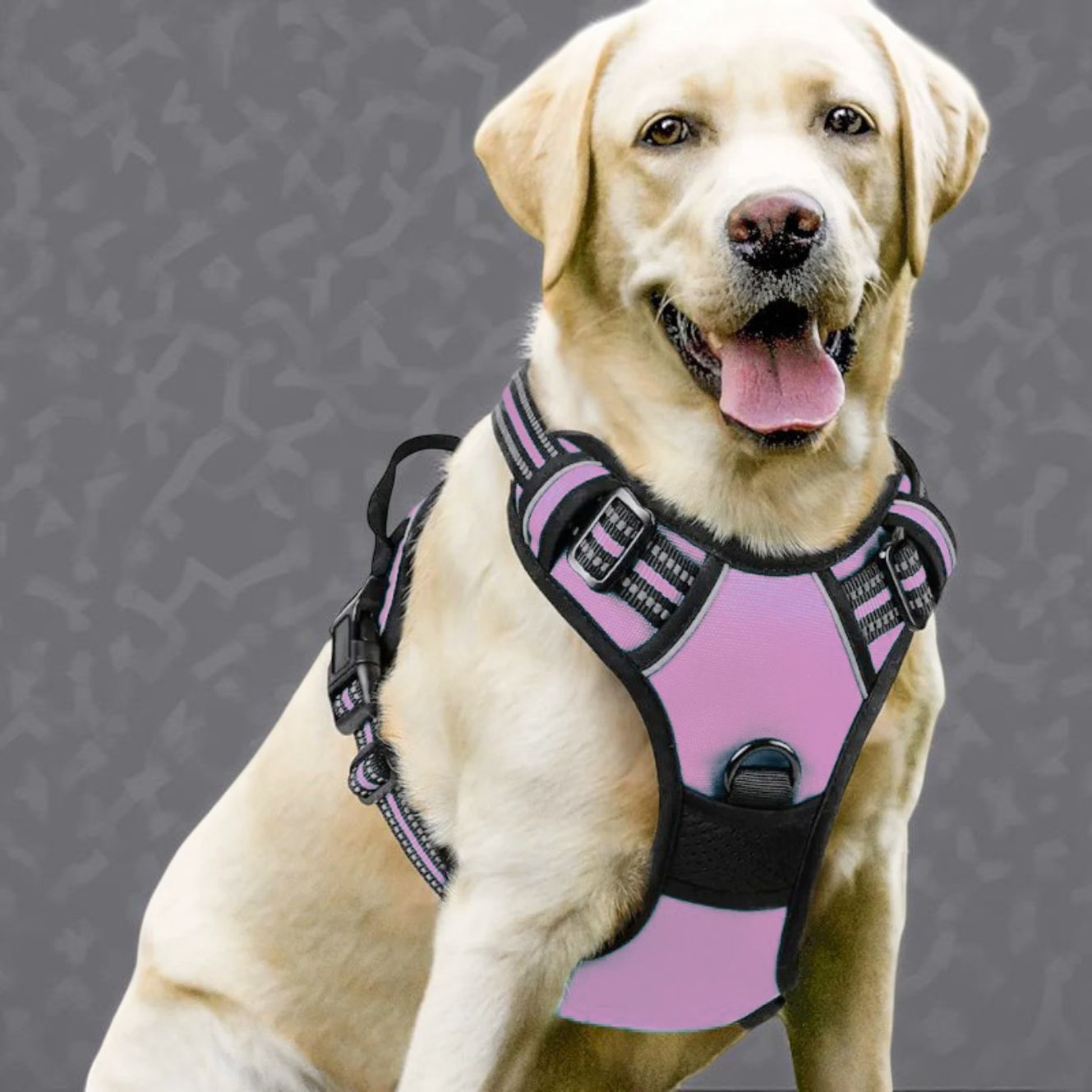 HARNAIS CHIEN ANTI TRACTION | VESTE RÉGLABLE