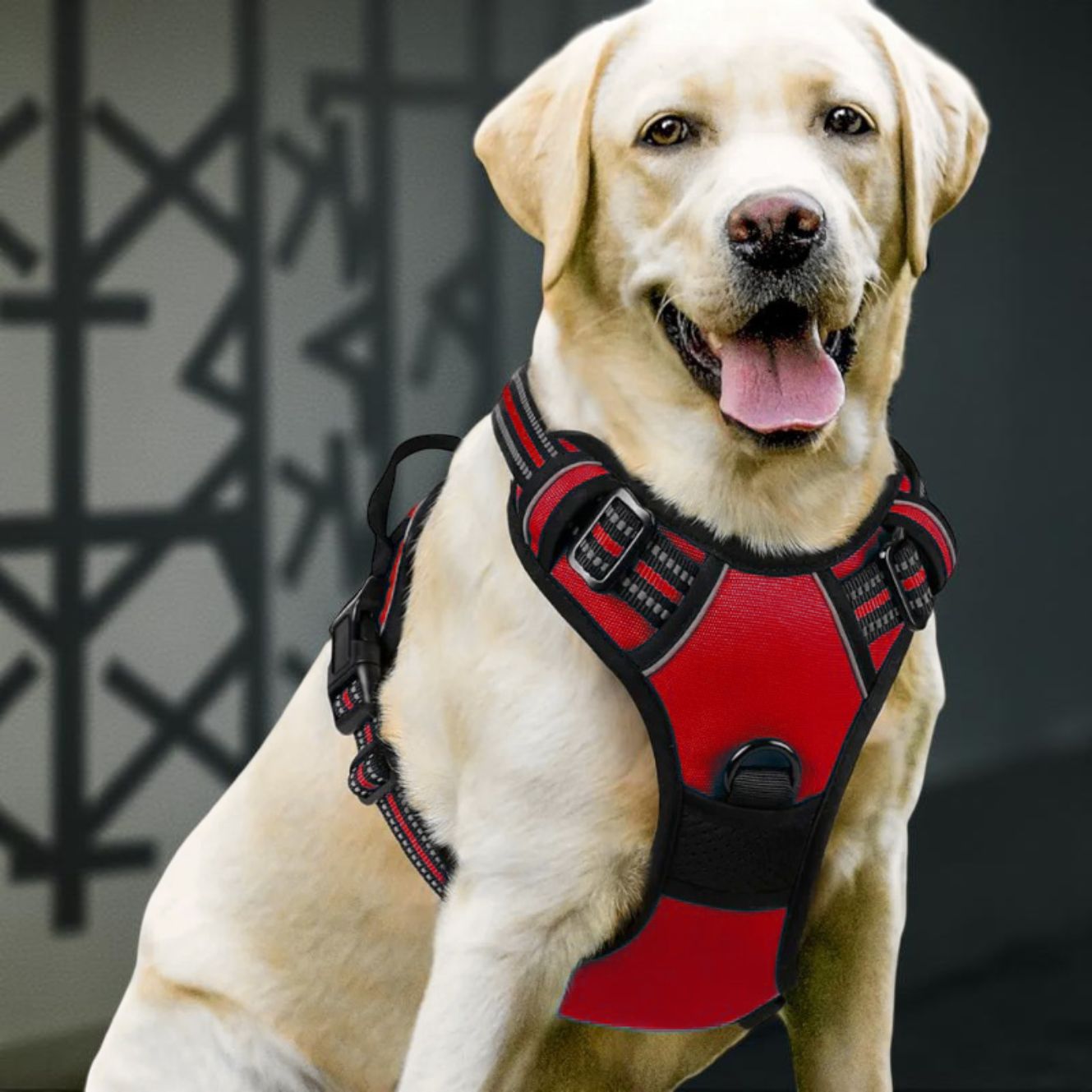 HARNAIS CHIEN ANTI TRACTION | VESTE RÉGLABLE