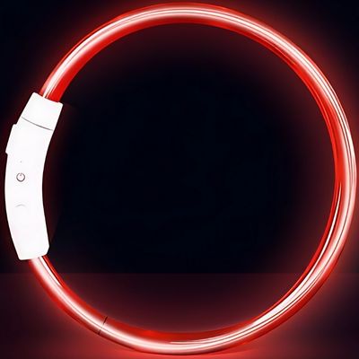 COLLIER LUMINEUX CHIEN | LUMINITE™