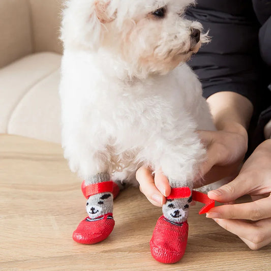 Chaussure chien | Couvre-pieds Teddy