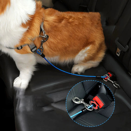 Laisse pour chien - Ceinture de voiture en Acier