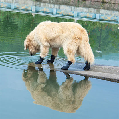 Chausson pour chien gris en coton